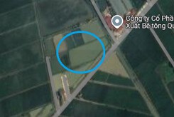 Đất có quy hoạch ở xã Ngô Quyền, huyện Thanh Miện, tỉnh Hải Dương