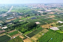 TP Hưng Yên đấu giá 36 suất đất ở, khởi điểm từ 7,5 triệu đồng/m2
