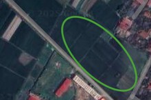 Đất có quy hoạch ở huyện Yên Lạc, tỉnh Vĩnh Phúc