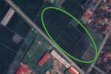 Đất có quy hoạch ở xã Văn Tiến, huyện Yên Lạc, tỉnh Vĩnh Phúc