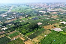 Hưng Yên đấu giá 39 suất đất ở tại huyện Yên Mỹ, khởi điểm từ 25 triệu đồng/m2