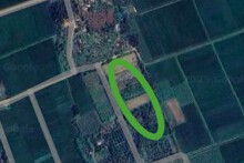 Đất có quy hoạch ở xã Nông Trường, huyện Triệu Sơn, tỉnh Thanh Hoá