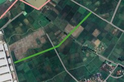 Đường sẽ mở ở xã Thọ Dân, huyện Triệu Sơn, tỉnh Thanh Hoá