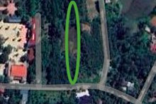 Đất có quy hoạch ở xã Thọ Tân, huyện Triệu Sơn, tỉnh Thanh Hóa