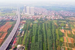 Thường Tín, Hà Nội đấu giá khu đất xây nhà liền kề, khởi điểm hơn 77 tỷ đồng