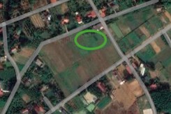 Đất có quy hoạch ở xã Thọ Sơn, huyện Triệu Sơn, tỉnh Thanh Hóa
