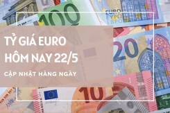Tỷ giá euro ngày 22/5: Đồng loạt tăng hơn 100 đồng tại các ngân hàng