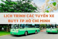 Lịch trình các tuyến xe buýt TPHCM mới nhất 2025: Thời gian, giá vé, lộ trình chi tiết
