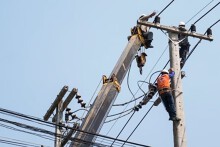 Lịch cúp điện Long An tuần này (2/6 - 8/6): Nhiều nơi ở huyện Cần Giuộc, Châu Thành, Mộc Hoá cúp điện cả ngày