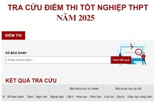 Hướng dẫn 3 cách tra cứu điểm thi THPT Quốc gia nhanh và chính xác nhất