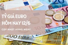 Tỷ giá euro ngày 12/6: Bật tăng mạnh hơn 200 đồng tại ngân hàng và chợ đen
