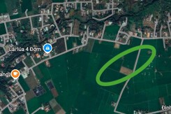 Đất có quy hoạch ở xã Quê Mỹ Thạnh, huyện Tân Trụ, tỉnh Long An