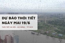 Dự báo thời tiết ngày mai 19/6 Hà Nội, Đà Nẵng và TP HCM chiều tối có mưa rào kèm dông