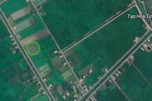 Đất có quy hoạch ở xã Bình Hoà Trung, huyện Mộc Hoá, tỉnh Long An