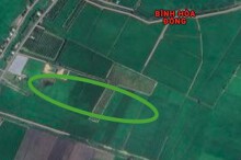 Đất có quy hoạch ở xã Bình Hoà Đông, huyện Mộc Hoá, tỉnh Long An