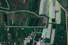 Đất có quy hoạch ở xã Mỹ Khánh, huyện Phong Điền, TP Cần Thơ