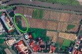 Đất có quy hoạch ở xã Tự Cường, huyện Tiên Lãng, TP Hải Phòng