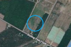 Đất có quy hoạch ở xã Quang Minh, thị xã Chơn Thành, tỉnh Bình Phước