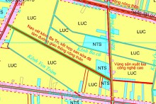 Đường sẽ mở ở xã Tân Hòa, huyện Tân Thạnh, tỉnh Long An
