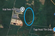 Đất có quy hoạch ở xã Tân Hòa, huyện Đồng Phú, tỉnh Bình Phước