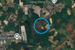 Đất có quy hoạch ở xã Tân Hưng, huyện Đồng Phú, tỉnh Bình Phước