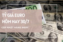 Tỷ giá euro ngày 30/7: Giảm tại phần lớn ngân hàng và chợ đen