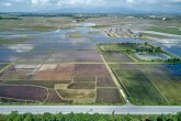 Miễn thuế đất nông nghiệp đến 2030