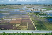 Miễn thuế đất nông nghiệp đến 2030