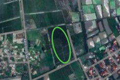 Đất có quy hoạch ở xã Tiên Thanh, huyện Tiên Lãng, TP Hải Phòng