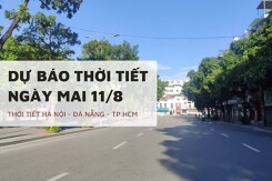Dự báo thời tiết ngày mai 11/8, Hà Nội nắng nóng, TP HCM mưa dông chiều tối, Đà Nẵng nắng gay gắt kéo dài