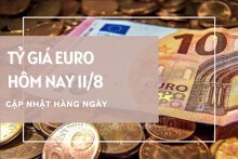 Tỷ giá euro ngày 11/8: Điều chỉnh trái chiều tại ngân hàng, chợ đen sụt nhẹ