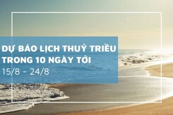 Lịch thủy triều 10 ngày tới từ 15/08 đến 24/08 Hòn Dấu và Sầm Sơn có triều cường mạnh, Phú Quốc duy trì mực nước ổn định