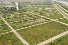 Ninh Bình đấu giá 67 lô đất ở tại xã Cát Thành, khởi điểm từ 1,2 tỷ đồng/lô