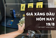 Giá xăng dầu hôm nay 19/8 giảm nhẹ khi thị trường cân nhắc khả năng đàm phán hòa bình giữa Nga và Ukraine