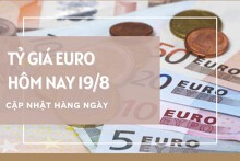 Tỷ giá euro ngày 19/8: Giảm sâu tại phần lớn ngân hàng và chợ đen