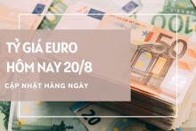 Tỷ giá euro ngày 20/8: Đồng loạt giảm tại ngân hàng, chợ đen quay đầu tăng