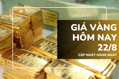 Giá vàng hôm nay 22/8: Vàng SJC chững ở đỉnh, nhẫn trơn tăng thêm 200.000 đồng/lượng