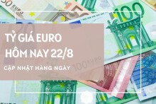Tỷ giá euro ngày 22/8: Đồng loạt giảm tại ngân hàng, chợ đen tiếp đà đi lên