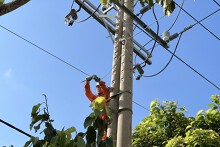 Lịch cúp điện Đà Nẵng tuần này (25/8 đến 31/8) Hội An, Tam Kỳ, Liên Chiểu, Núi Thành mất điện nhiều ngày