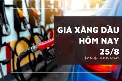 Giá xăng dầu hôm nay 25/8 đồng loạt giảm nhẹ