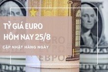 Tỷ giá euro ngày 25/8: Đồng loạt tăng tại ngân hàng, chợ đen đi ngang