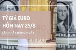 Tỷ giá euro ngày 25/8: Đồng loạt tăng tại ngân hàng, chợ đen đi ngang