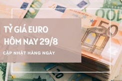 Tỷ giá euro ngày 29/8: Đồng loạt tăng tại ngân hàng và chợ đen