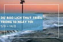 Lịch thủy triều 10 ngày tới từ 05/08 đến 14/08 Hòn Dấu và Vũng Tàu có triều cường mạnh, khu vực Trường Sa ít thay đổi