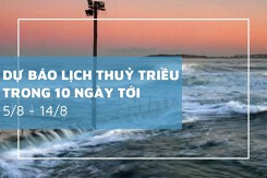 Lịch thủy triều 10 ngày tới từ 05/08 đến 14/08 Hòn Dấu và Vũng Tàu có triều cường mạnh, khu vực Trường Sa ít thay đổi
