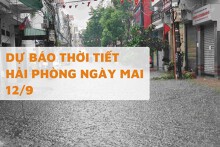 Dự báo thời tiết Hải Phòng ngày mai 12/9 mưa dông từ sáng, có thể kéo dài đến tối
