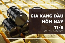 Giá xăng dầu hôm nay 11/9 tăng giảm trái chiều sau căng thẳng toàn cầu, nguồn cung dư thừa hạn chế mức tăng