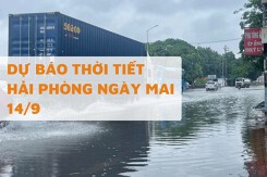 Dự báo thời tiết Hải Phòng ngày mai 14/9 nhiều mây, có mưa rào và dông