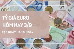 Tỷ giá euro ngày 3/9: Đồng loạt giảm tại ngân hàng, tăng tại chợ đen