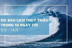 Lịch thủy triều 10 ngày tới từ 5/9 đến 14/9 Côn Đảo và Vũng Tàu biến động mạnh, Sầm Sơn nước rút sâu